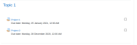 Studentview - assignment-showduedate.png