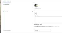 image-2021-03-16-17-37-14-885.png