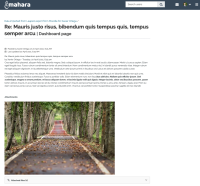 MDLQA-15555 - Mahara export forum post.png
