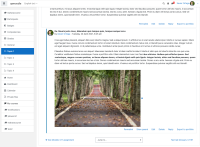 MDLQA-15555 - Moodle export forum post.png