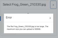 file upload error.png