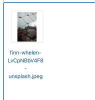 Screen Shot 2021-05-04 at 3.18.24 pm.png