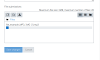 assignment_file_upload_during.png