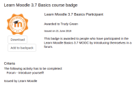 improved badge page.png