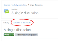 tabinforum-1.png
