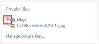 Fig. 1.02 Empty link and no visible focus.png