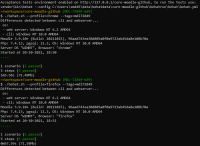 working-on-developer-branch.png