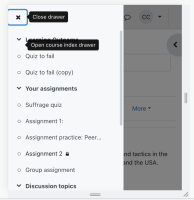 mobile view.png