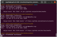 MDL-73098_web install_before patch.png
