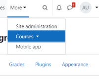 custom-menu-submenu.png