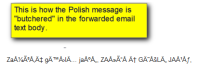 1b_Polish_message_rendered_badly_in_email.png